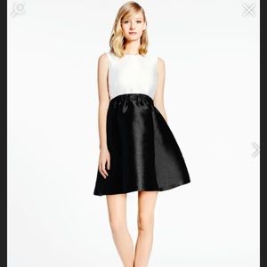 Kate Spade Swift Dress